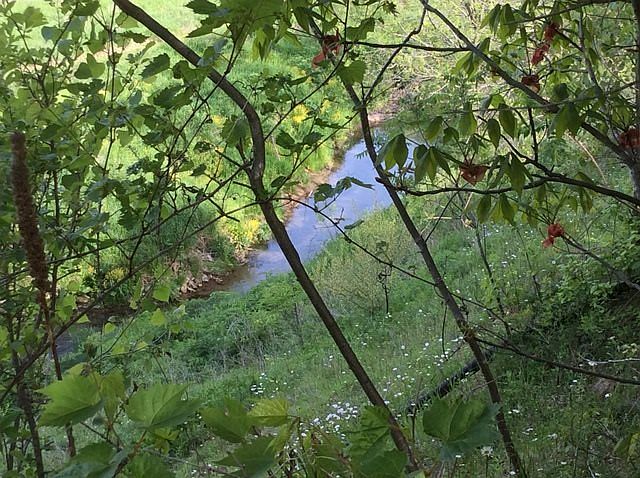 2nd image of Hickory Ln