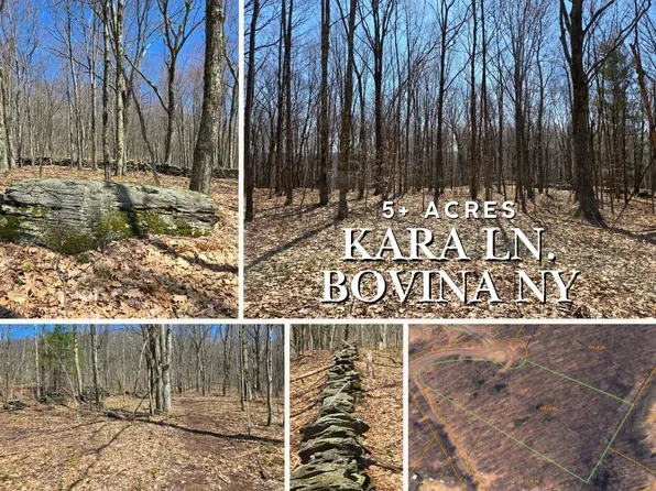 25 Kara Ln Lot 25, Bovina Center, NY 13740