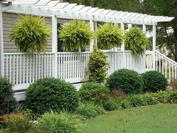 Great Landscaping