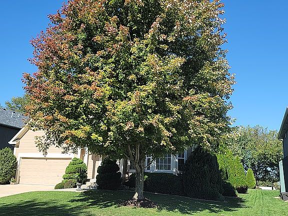 3rd image of 13204 New Jersey Ave