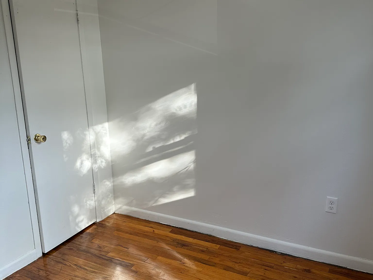 3 bed, 1.5 bath, 1500 sqft, $3,500 — Photo 3