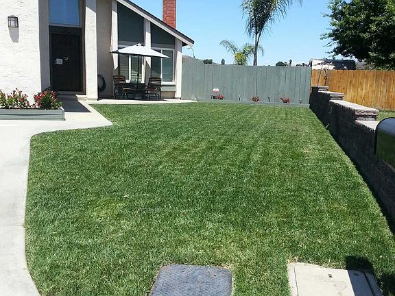 Front Yard