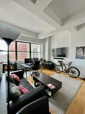 Rented by NY Living Solutions | media 20