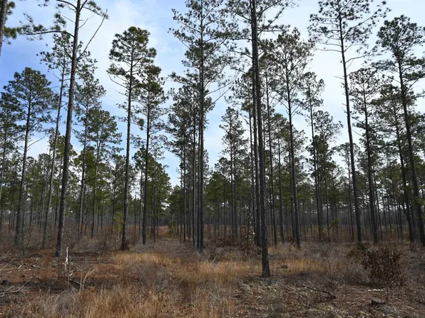 622 Pickett Thomas Rd, Camden, SC 29020