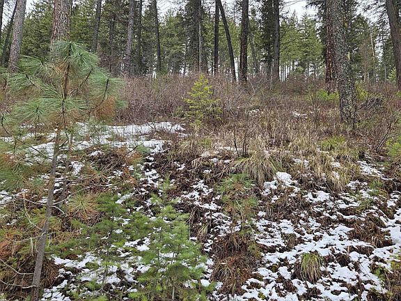 3rd image of Tbd Granite View Rd