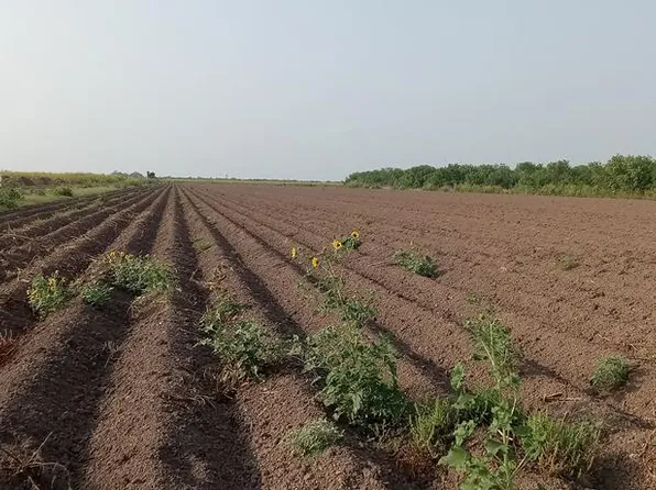 N Mile 4 W, Mercedes, TX 78570