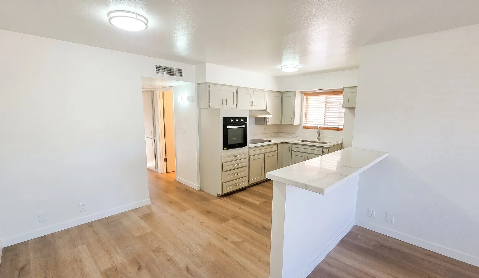 1 bed, 800 sqft, $1,250 — Photo 3