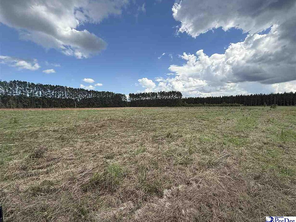 1st image of New Farm Rd