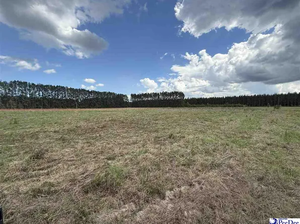 New Farm Rd, Hemingway, SC 29554