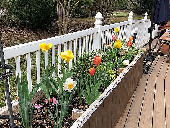 Built in raised  bed