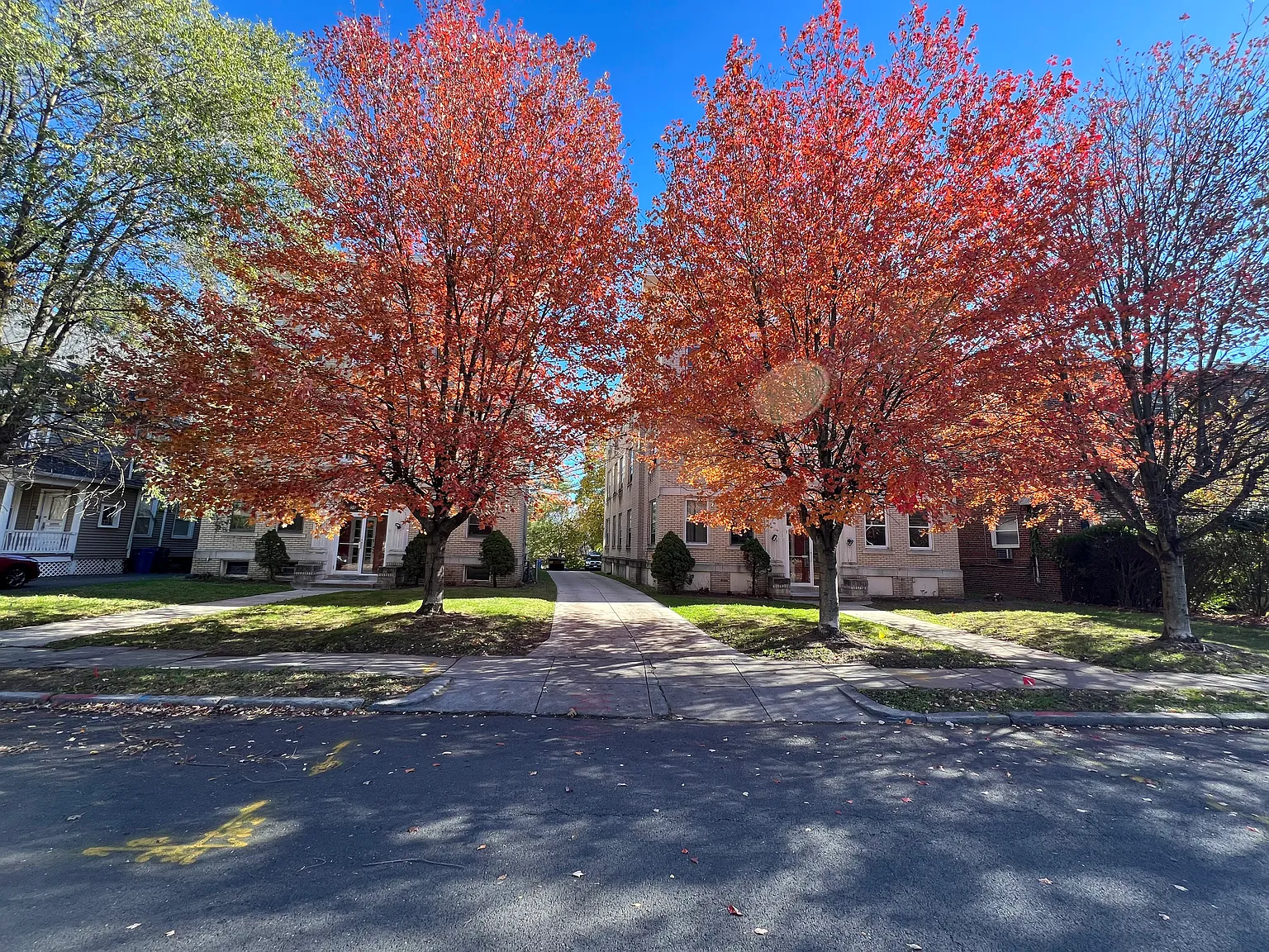 1 bed, 900 sqft, $1,500 — Photo 2
