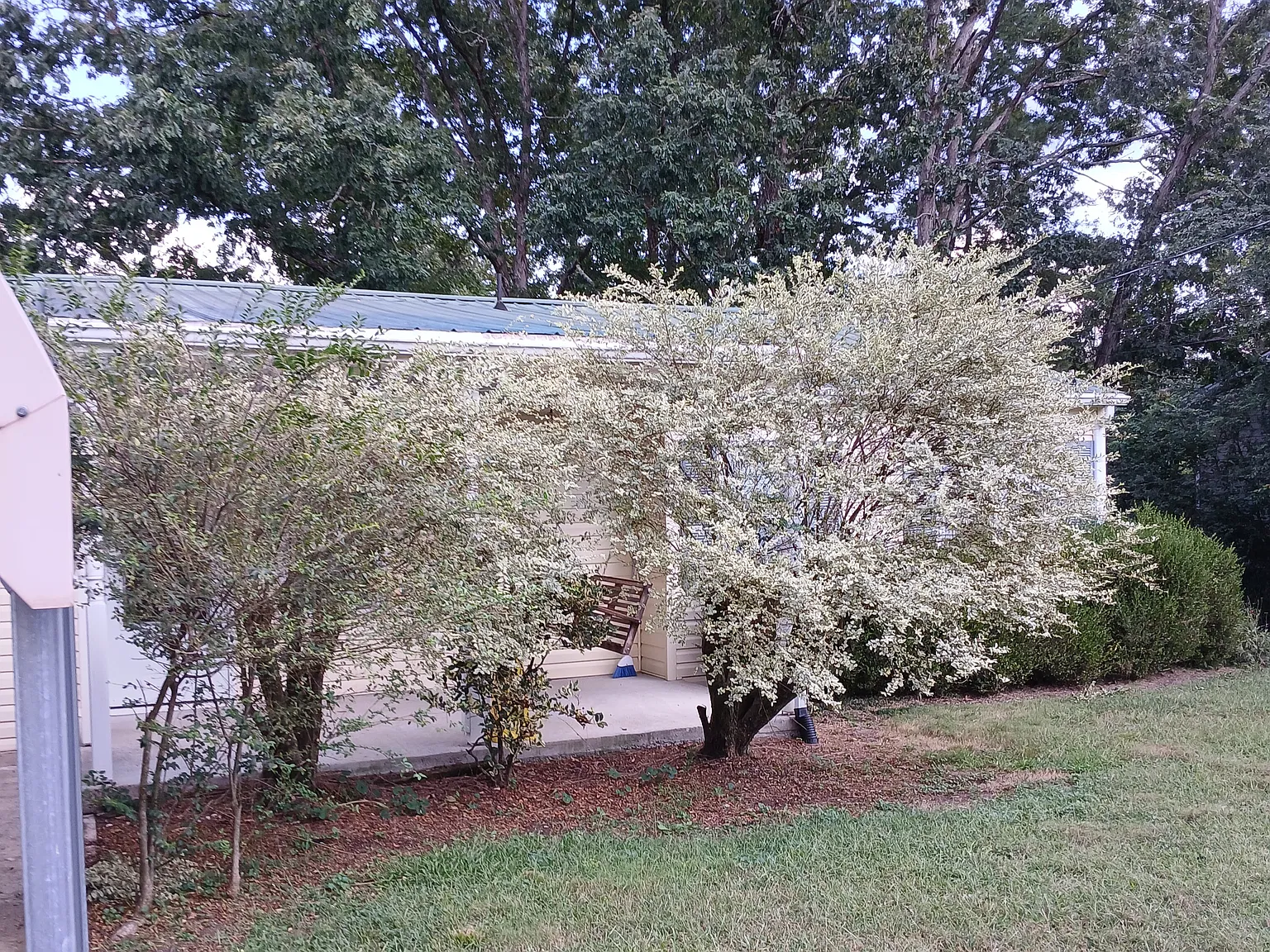 2 bed, 1044 sqft, $1,400 — Photo 2
