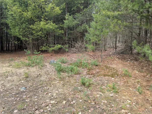 7131 Maple Dr Lot 63, Glenfield, NY 13343