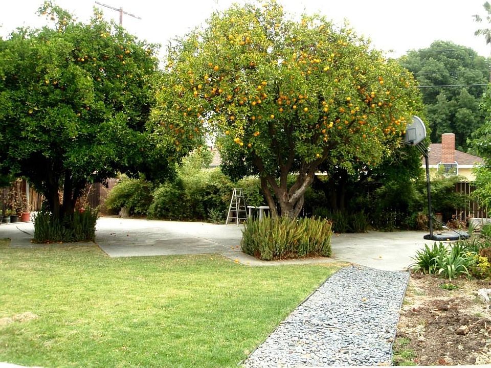Rear yard