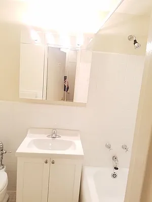 Rented by Manhattan Apartment Organization | media 11