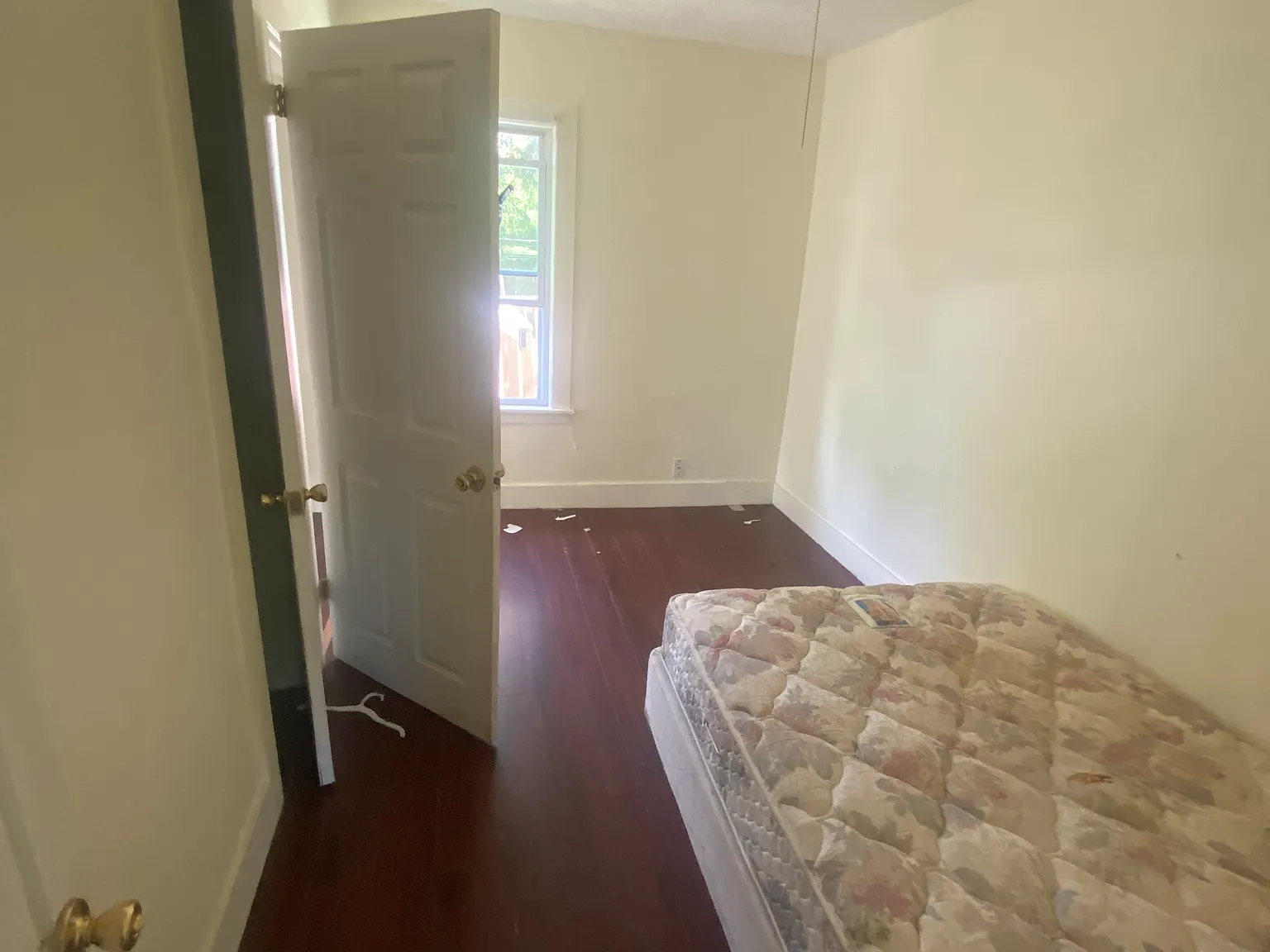 1 bed, $950 — Photo 2
