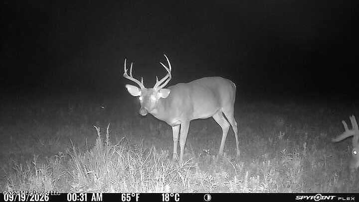 1st image of 4433 Samuel Ln