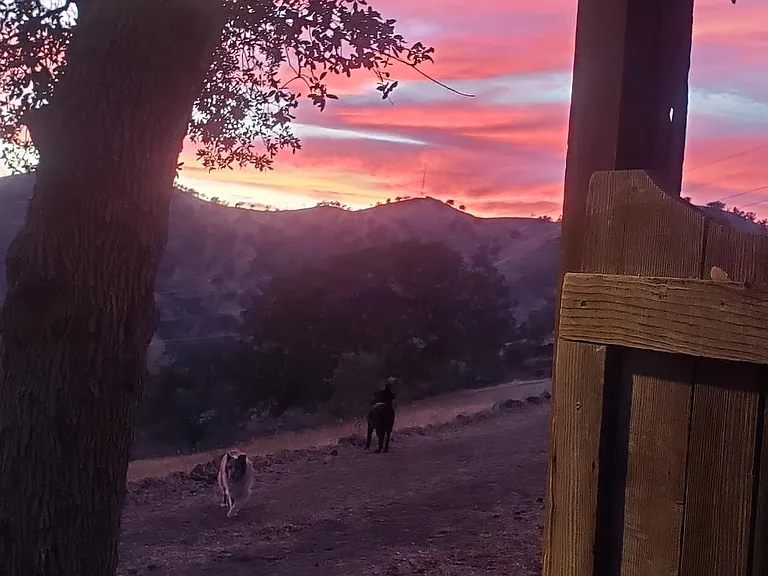 Gorgeous sunsets