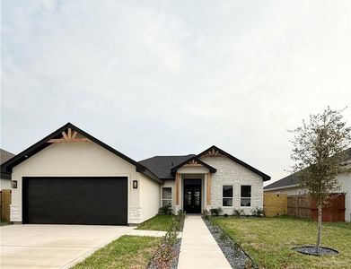 3204 E Bella Vista Ave, Alton, TX, 78573