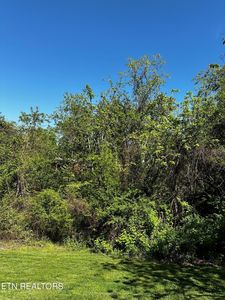 Gay St, Dandridge, TN, 37725