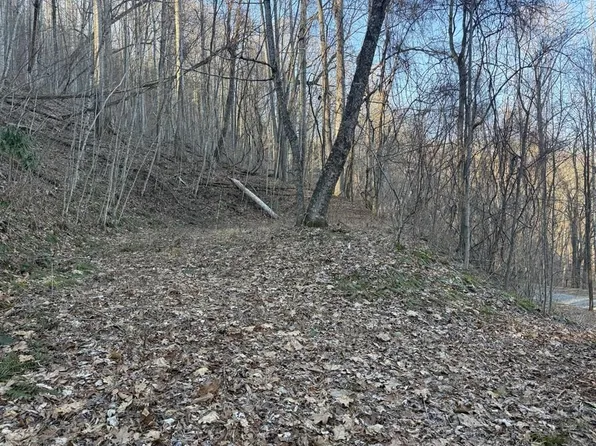 0 Mountain Dr, Bryson City, NC 28713