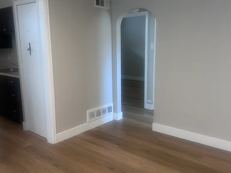 2343 S Race St #2343 — Photo 3