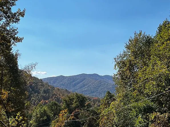 115 Deer Run Dr, Flag Pond, TN 37657