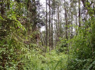 Maui Rd LOT 934, Pahoa, HI 96778