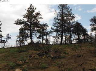 356 Twin Pillars Dr, Livermore, CO 80536