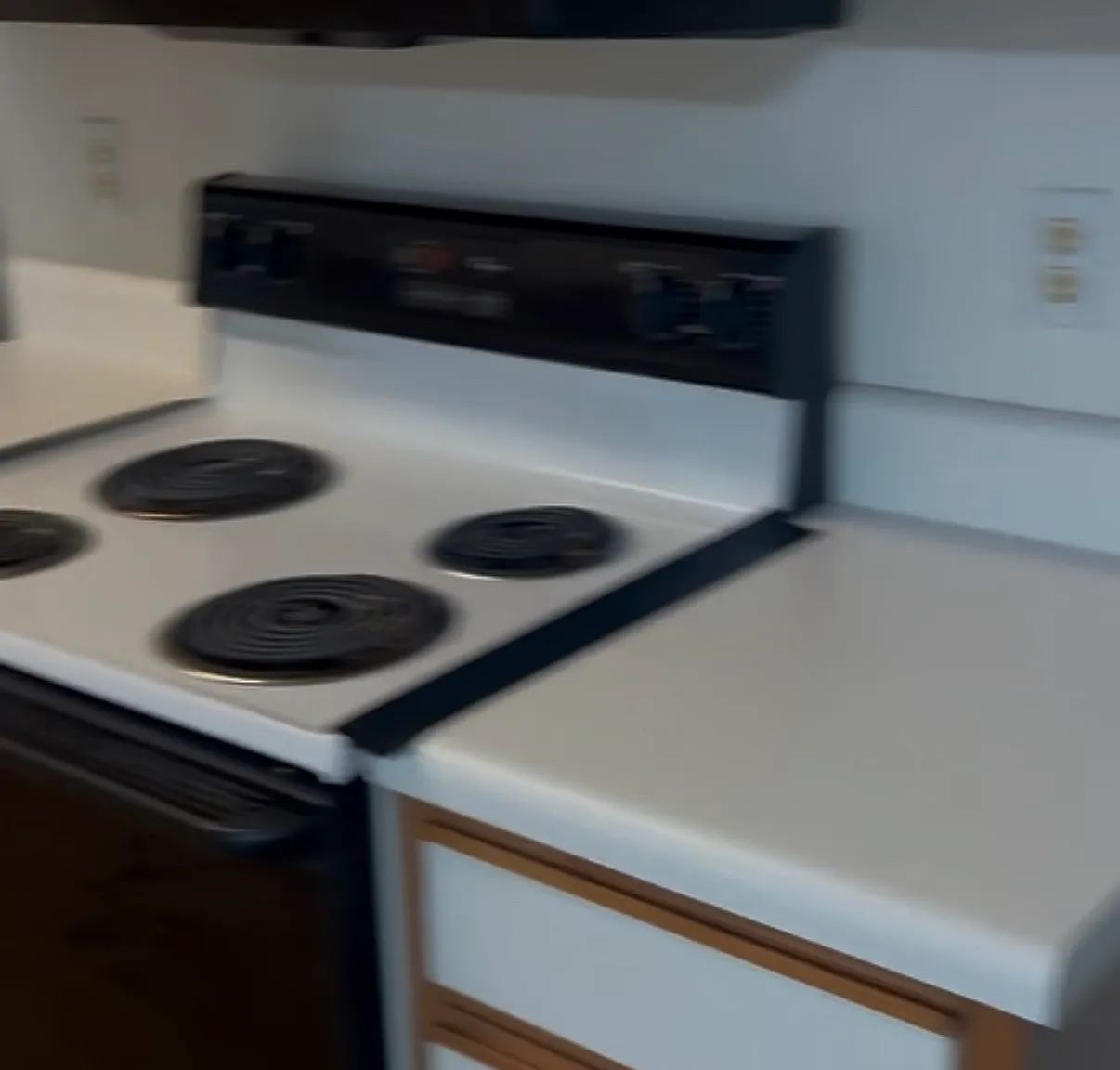 3 bed, 1299 sqft, $1,200 — Photo 4