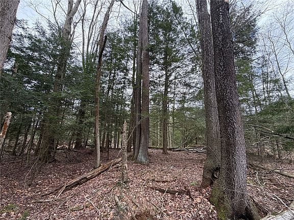 5th image of Pritchard Rd Lot 23