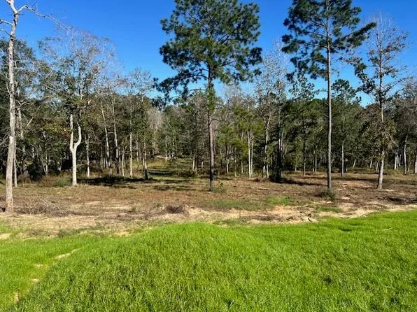 Tdb Addison Rd Lot 29, Livingston, TX 77351