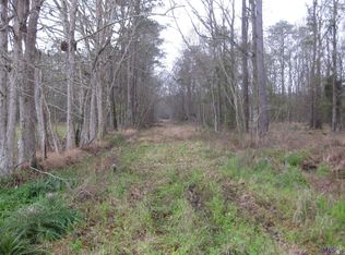 Picou Rd, Maurepas, LA 70449