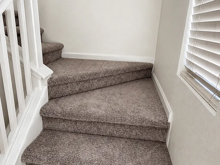 3844 Purple Finch Ln — Photo 12
