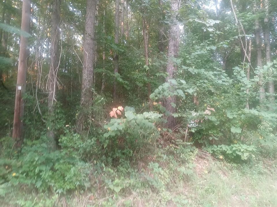 2nd image of NE Manis Rd