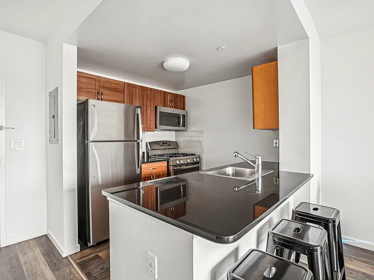 229 Chrystie St #513 — Photo 3