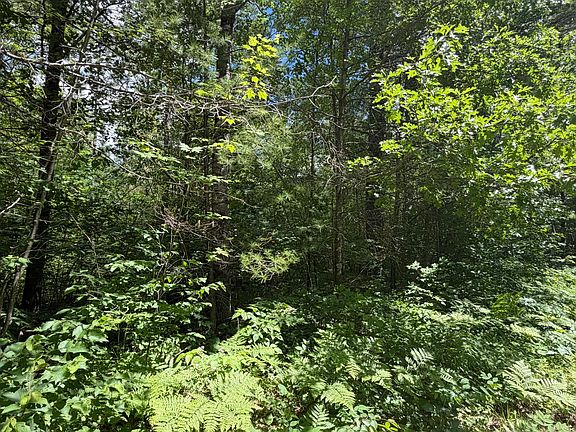 2nd image of LOT 11 Flintrock Dr