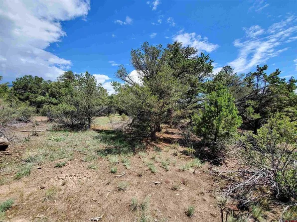 339 Hidden Valley Road, South Fork, CO 81154