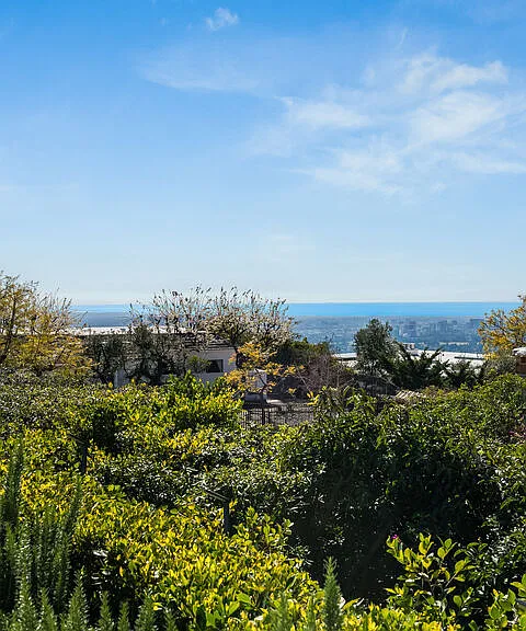 580 Chalette Dr — Photo 47