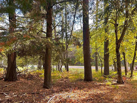 3rd image of Tbd W Gulliver Lake Rd