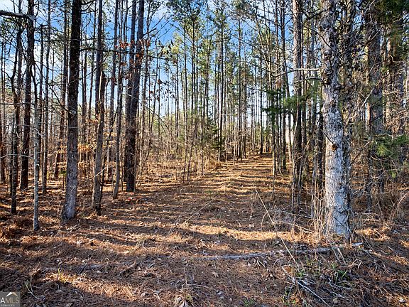 5th image of 598 Pea Ridge Rd