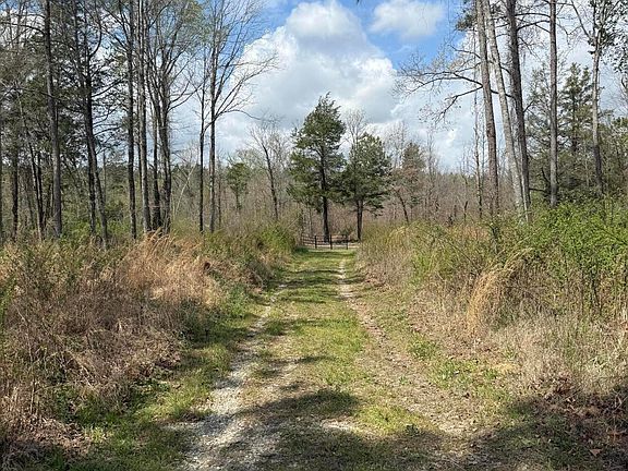 4th image of Calico Rd
