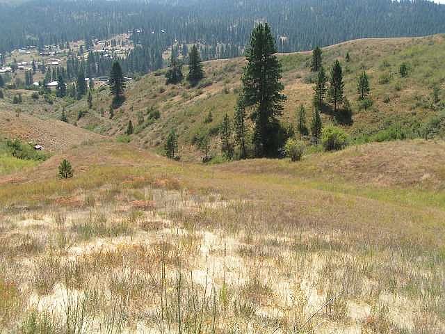 2nd image of 10 Gold Fork Ridge Rd