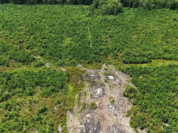 Tbd Boat Ramp Road LOT 1, New Hope, NC 27944