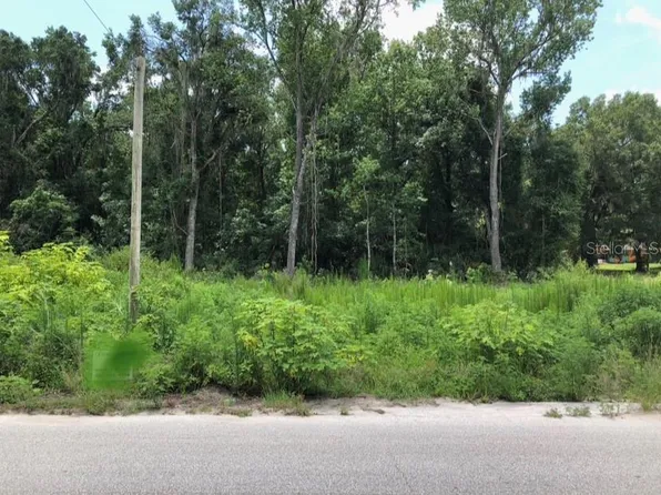 0 NE 167th Pl #1, Citra, FL 32113