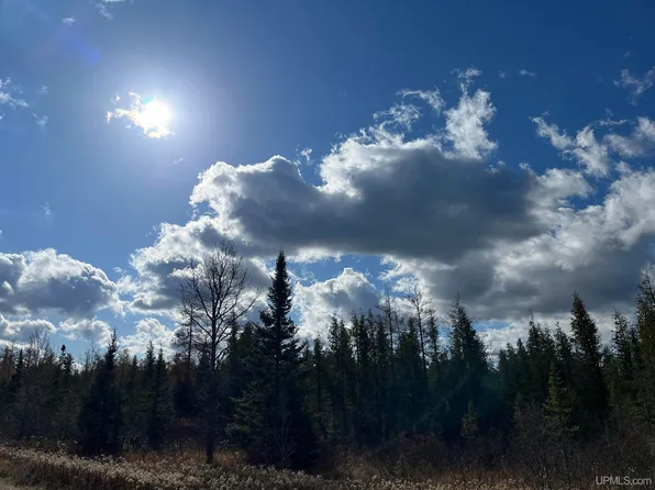 Section 33 Off Hwy #M35, Gwinn, MI 49841