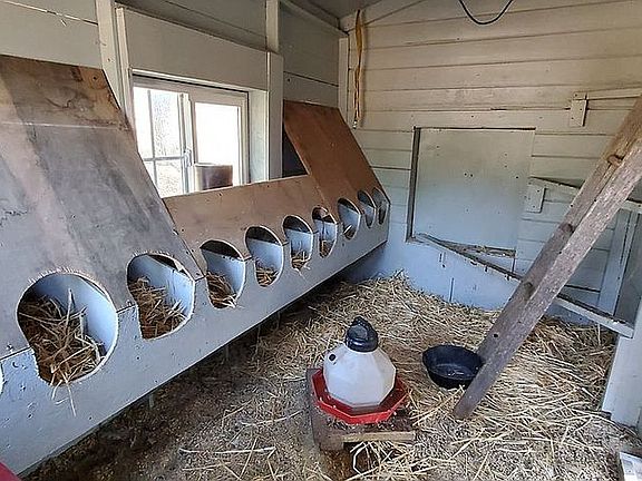 inside chickencoop