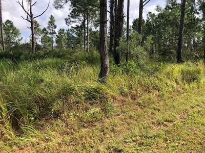 8010 Carillo Dr, Sebring, FL, 33872
