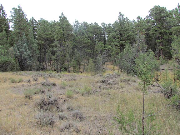 5th image of 47 Cedar Ridge Rd