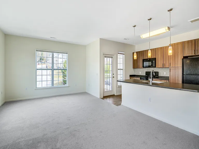 Bright and spacious open-plan apartment with large window, elegant kitchen with modern appliances, and cozy plush carpet.
